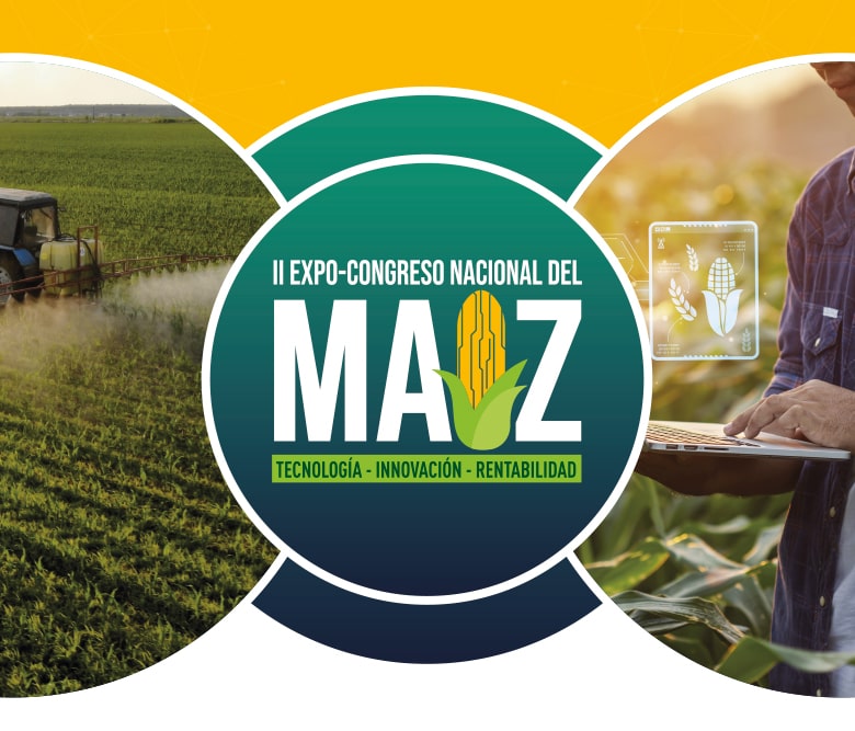 banner-002-movil-min